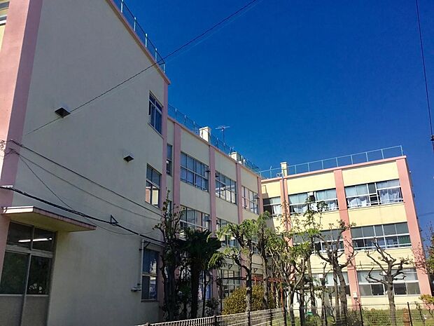 周辺環境-小学校(350m)島根小学校