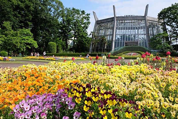 周辺環境-公園(1900m)川口市立グリーンセンター