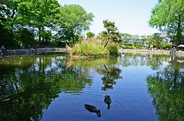 周辺環境-公園(450m)赤塚溜池公園