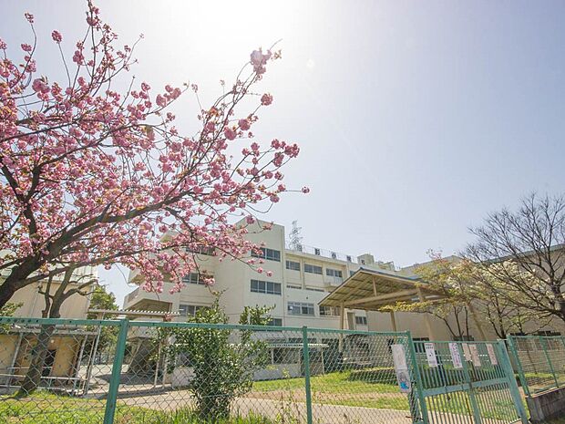 周辺環境-小学校(1100m)沼影小学校