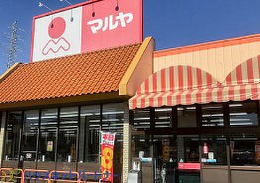 周辺環境-スーパー(1200m)マルヤ