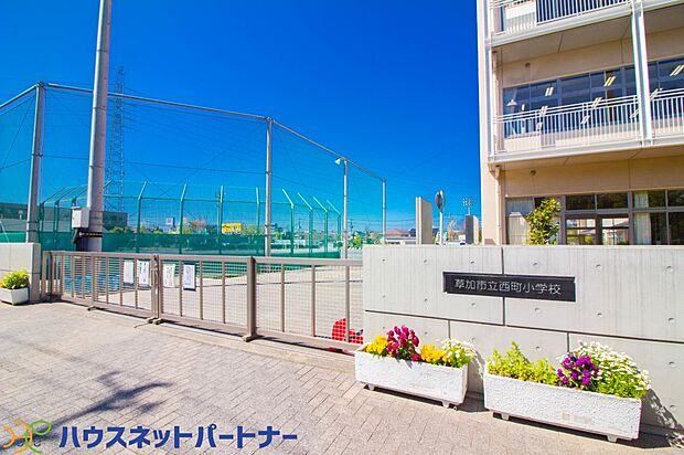周辺環境-小学校(600m)草加市立西町小学校