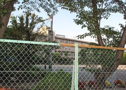 周辺環境-小学校(640m)新栄小学校