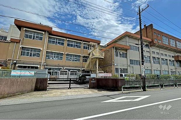 周辺環境-小学校(170m)新郷南小学校