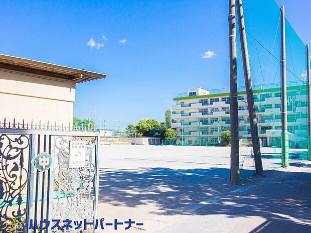 周辺環境-中学校(750m)白幡中学校