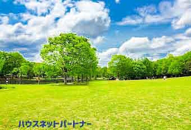 周辺環境-公園(750m)そうか公園