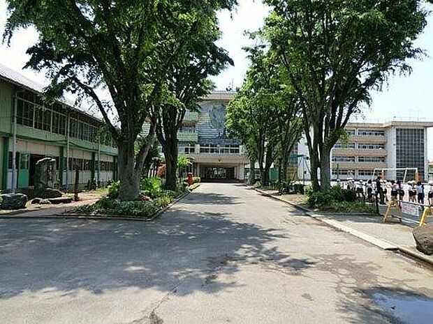 周辺環境-小学校(220m)蕨市立中央小学校