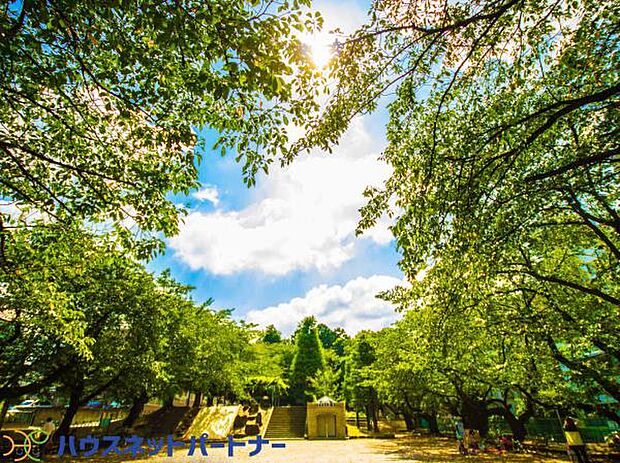 周辺環境-公園(120m)御嶽公園