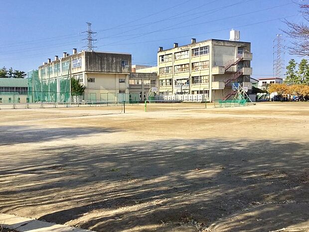 周辺環境-中学校(900m)草加市立川柳中学校