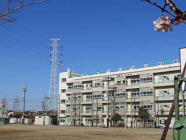 周辺環境-小学校(550m)川口市立東本郷小学校