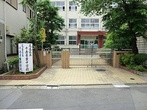 周辺環境-中学校(1000m)千寿青葉中学校
