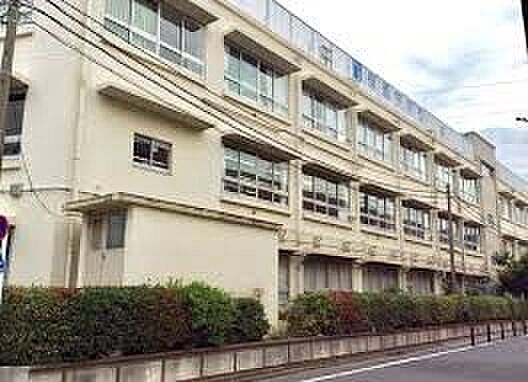 周辺環境-中学校(1100m)葛飾区立桜道中学校