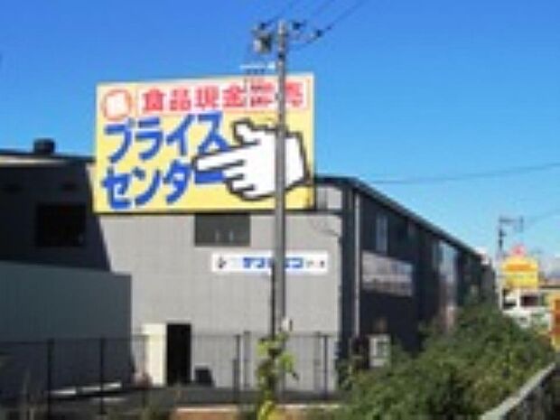 周辺環境-その他環境写真(600m)超プライスセンター