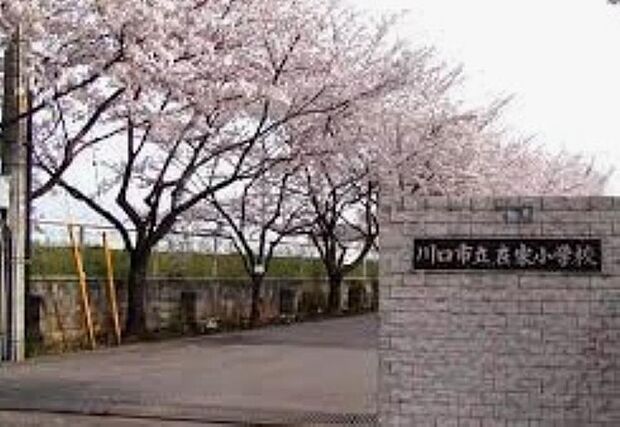 周辺環境-小学校(350m)川口市立在家小学校