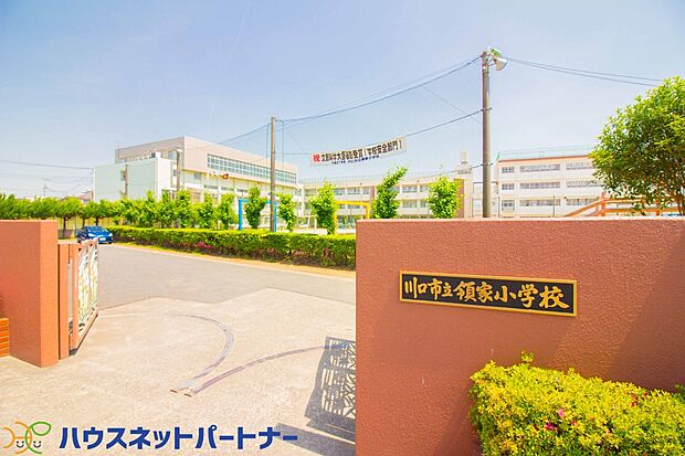 周辺環境-小学校(700m)川口市立領家小学校