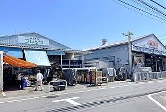 周辺環境-スーパー(550m)新鮮市場フレッツ 八百邦 練馬店