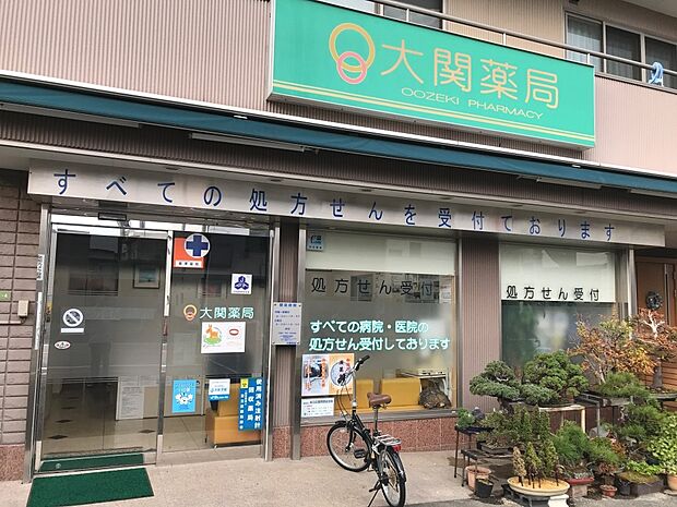 周辺環境-ドラッグストア(550m)大関薬局