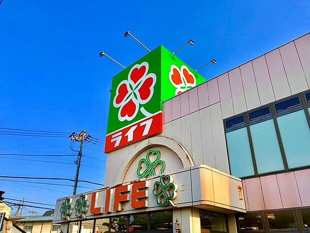 周辺環境-スーパー(800m)ライフ 葛飾鎌倉店