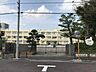 周辺：周辺環境-小学校(550m)葛飾区立末広小学校
