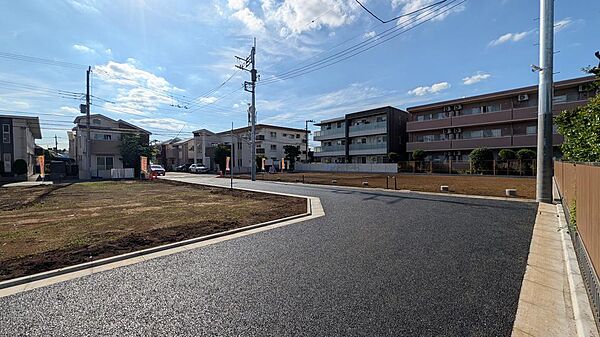 2026年6月撮影