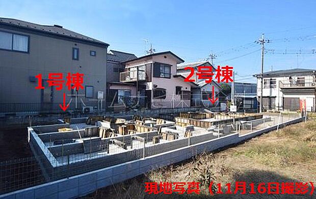 現地写真（11月16日撮影）