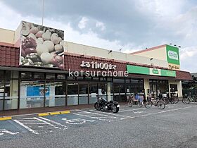 ストラール　Ｄ 203 ｜ 千葉県流山市大字東深井287-1（賃貸アパート1R・2階・41.07㎡） その16