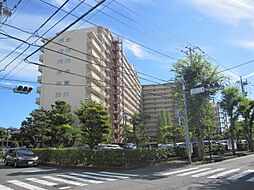 ファミール南常盤平　1階