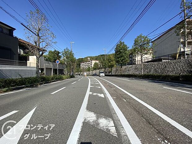 前道の様子です