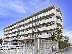 赤羽グリーンタウン11団地　中古マンション