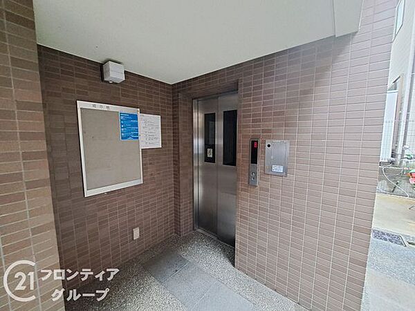 明るい陽光がたっぷりと差し込む開放感に満ちた共用廊下ですね！隅々までしっかりとメンテナンスが行き届いている清潔感あふれる空間が日々の移動を心地よい時間に変えてくれます