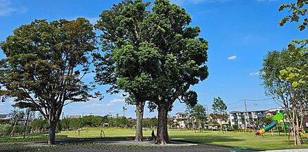 三室中央公園（ヌゥパーク）・・約650ｍ」