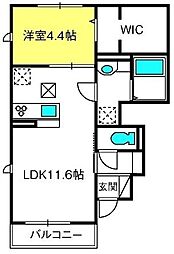 メゾンアイリスココア 1LDKの間取図画像