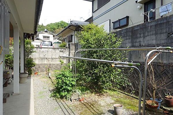 庭