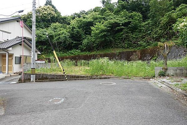 外観：338000043594