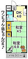 ウエストヒルズ平野5階3.9万円