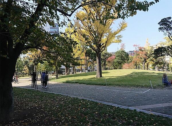 中野区立中野四季の森公園（1116m）