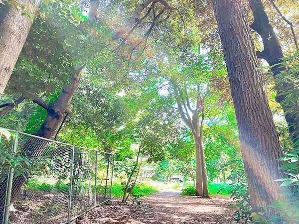 江古田の森公園（1122m）