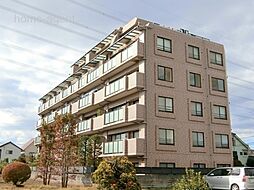 東川口サニーコート第10