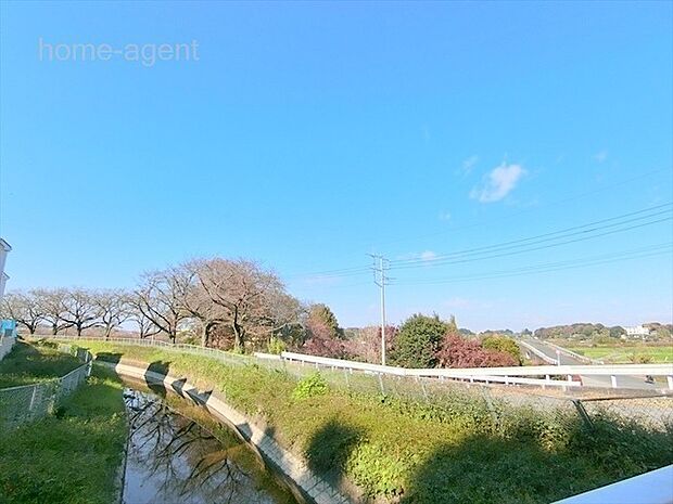 春には桜並木が続く見沼代用水。利便さと自然が融合したエリアです。ぜひ現地でご確認ください。