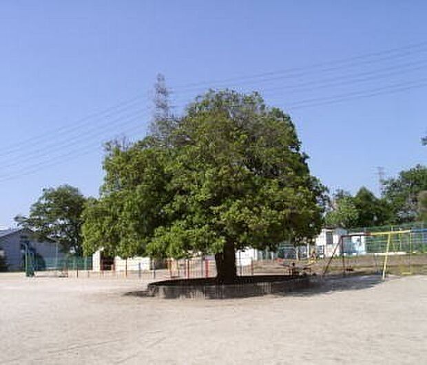 新和小学校