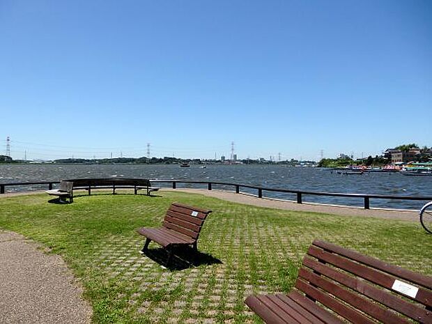 手賀沼公園(320m)