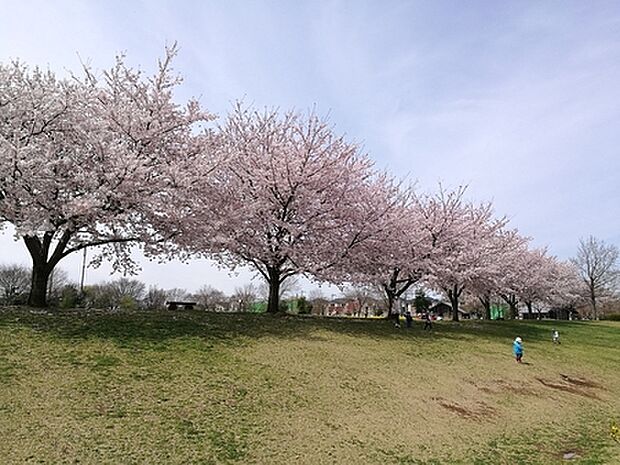 中原ふれあい防災公園(590m)
