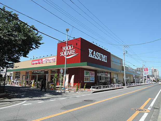 カスミフードスクエア柏千代田店(590m)