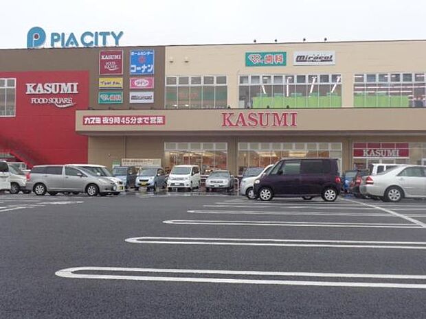 カスミフードスクエア柏中新宿店(120m)