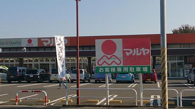 マルヤ沼南店(550m)