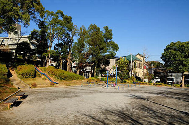 清ケ丘小金公園(1160m)