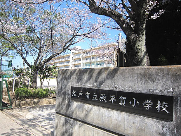 松戸市立殿平賀小学校(920m)
