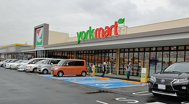 ヨークマート柏の葉公園店(1140m)