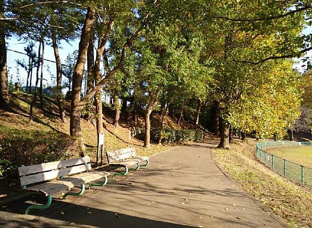 大津ケ丘中央公園（280m）