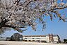 周辺：松戸市立栗ヶ沢小学校（630m）